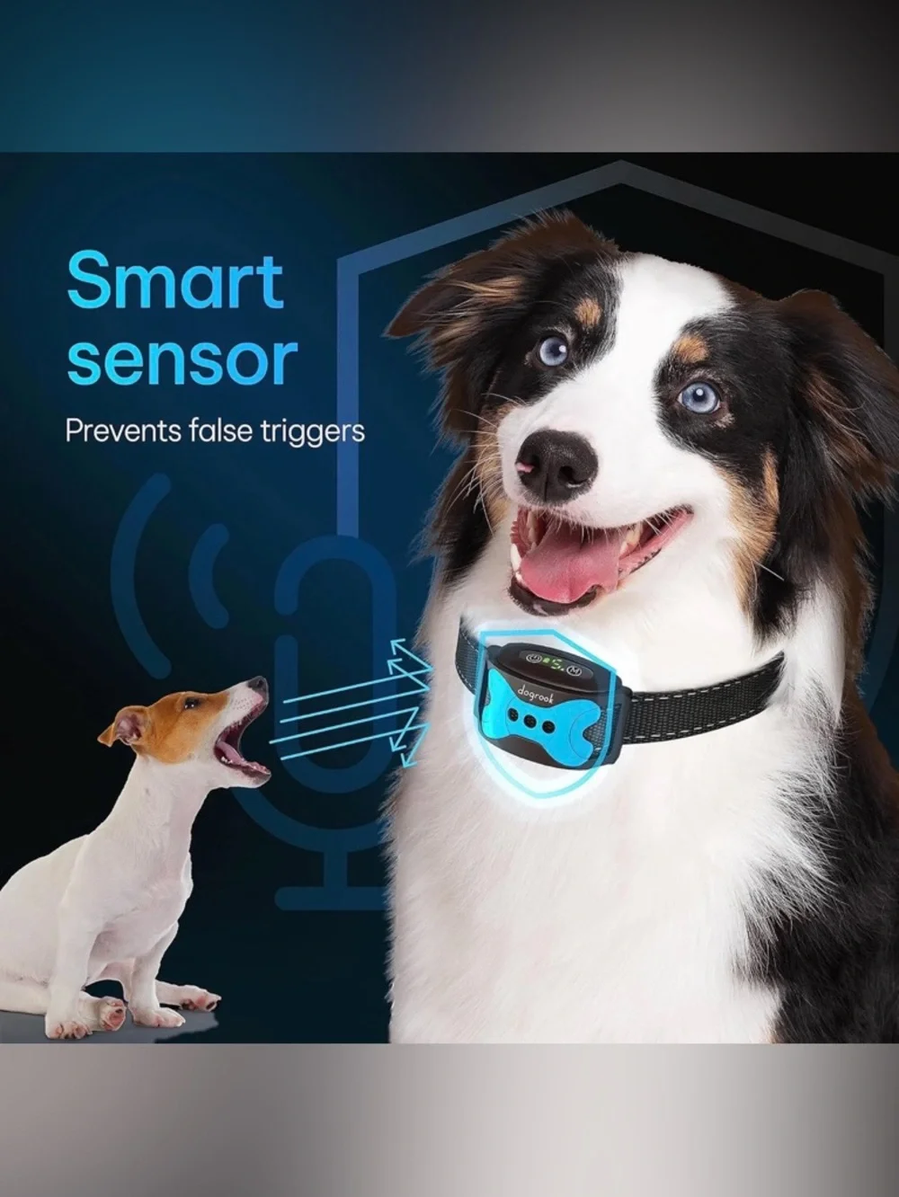 DogRook Remote Training Collar with Blue Anti-Bark Module and Black Strap